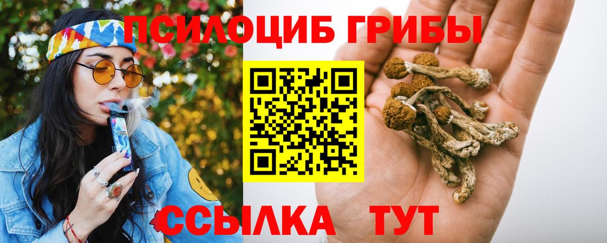 Галлюциногенные грибы мухоморы Архангельск